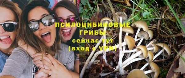 COCAINE Богданович
