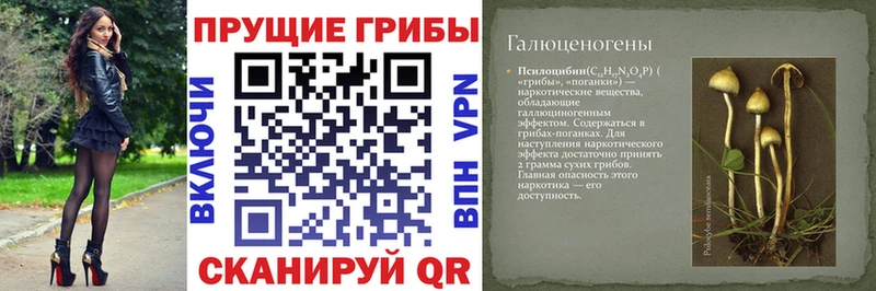 Галлюциногенные грибы Magic Shrooms Верхотурье